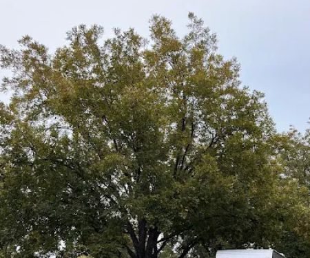 Wynnewood North RV Park