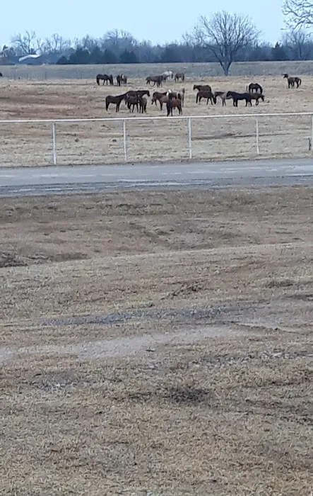 Wild Horse RV Park 6