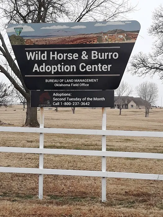 Wild Horse RV Park 7