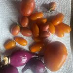 Dallas Glamping Adventures LLC