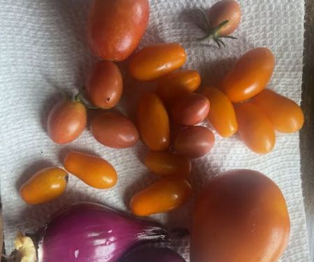 Dallas Glamping Adventures LLC