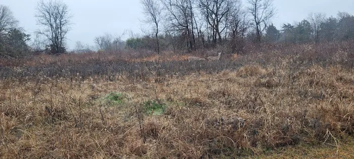 Liberty Grove CampGround 2