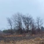 Liberty Grove CampGround