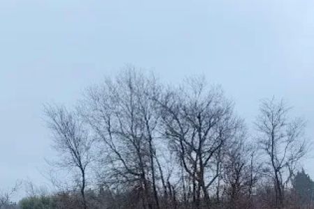 Liberty Grove CampGround