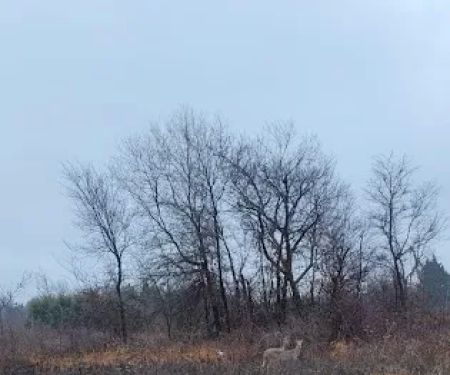 Liberty Grove CampGround