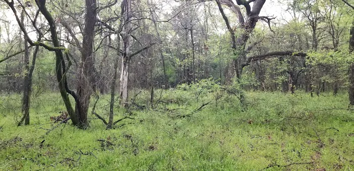Liberty Grove Campground 5