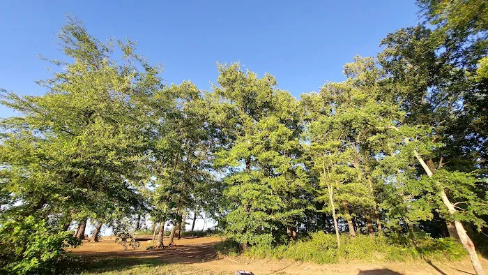 Oak Grove Campground 4