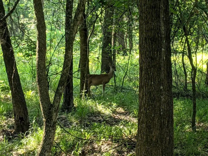 Oak Grove Campground 9