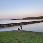 Buggy Whip Equestrian Campground