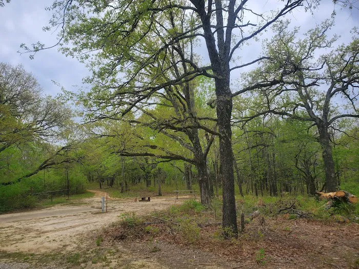 Buggy Whip Equestrian Campground 9