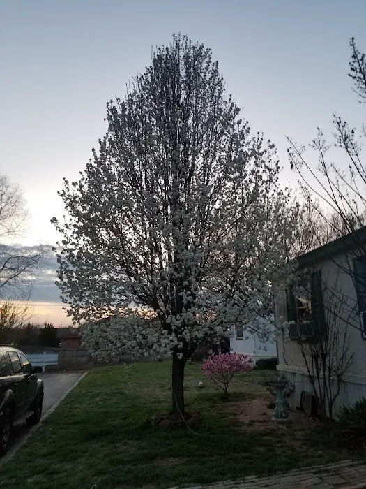 Canadian Shores Mobile Home 9
