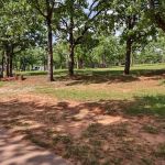 Turkey Pass Campground