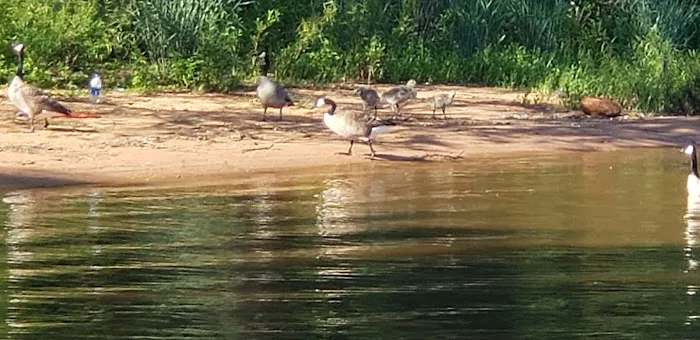 Hog Creek Campground 10