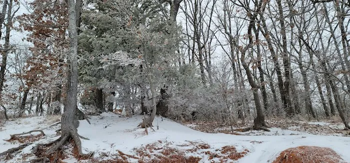 Hickory Hills Campground 8