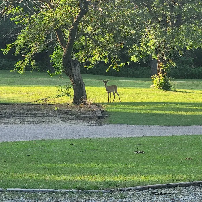 Smarsh Creek Campground 7