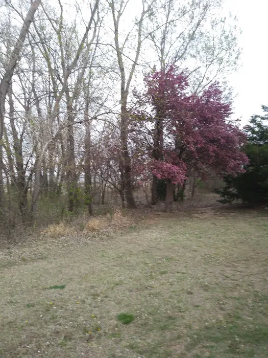 South Loop Campground 7