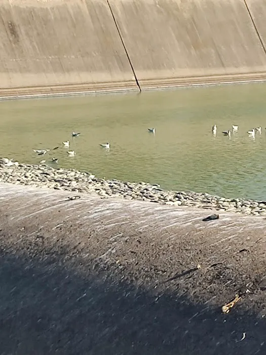 North Spillway Campground 10