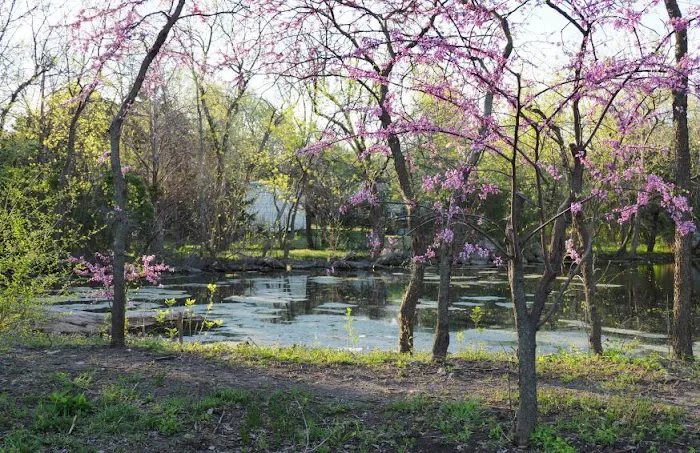 Deer Grove RV Park 5