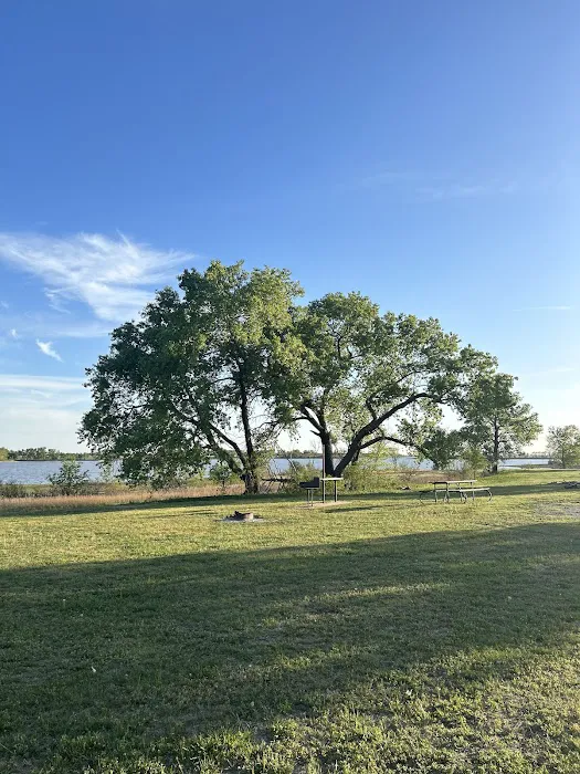 El Dorado Lake - Bluestem Point Area - Sunflower Meadow 8