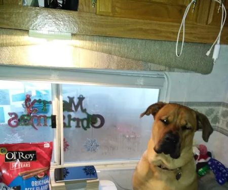 Country Pines RV Park