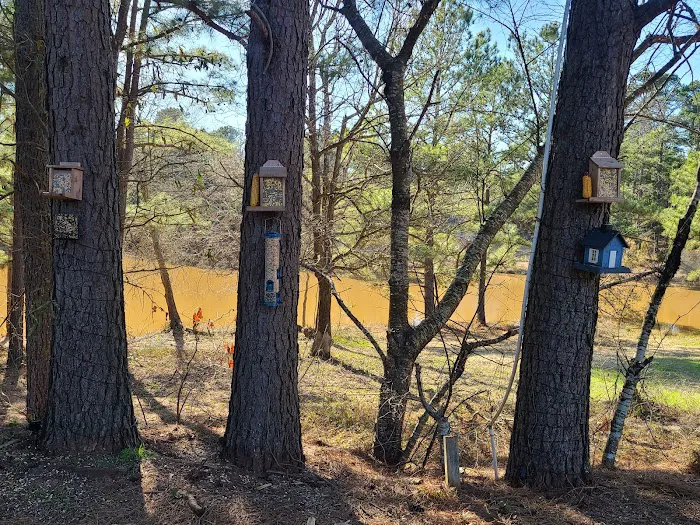 Country Pines RV Park 9