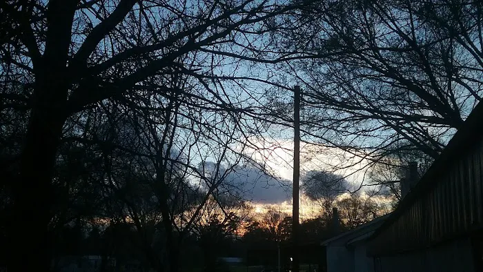 Spring Hill Trailer Park 6