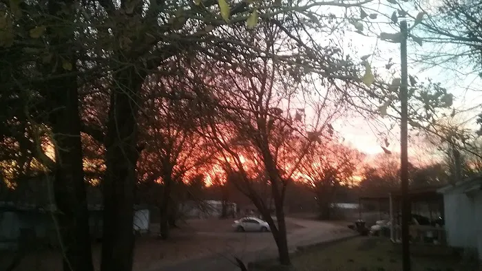 Spring Hill Trailer Park 5
