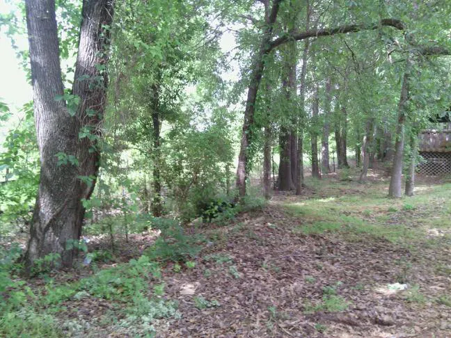 Spring Hill Trailer Park 10