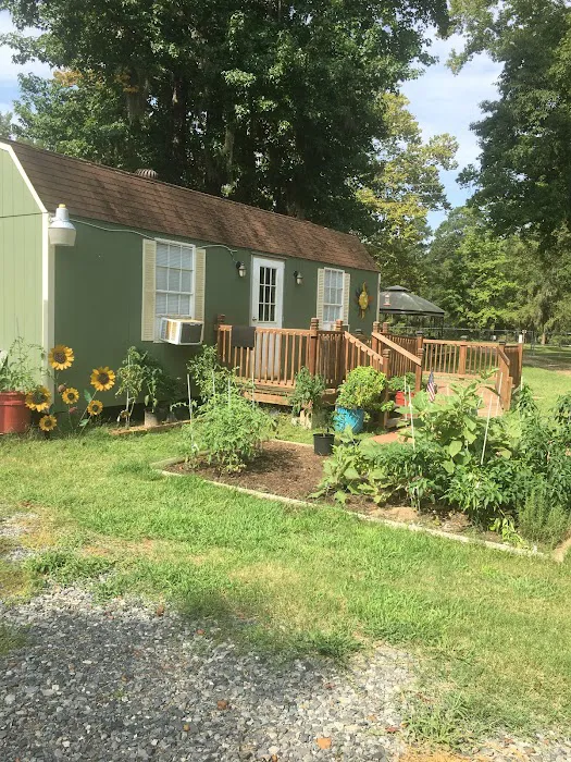 Pine Island RV Park 3