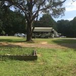 Pine Island RV Park