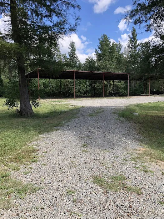 Caddo Lake Escape & RV Park 3