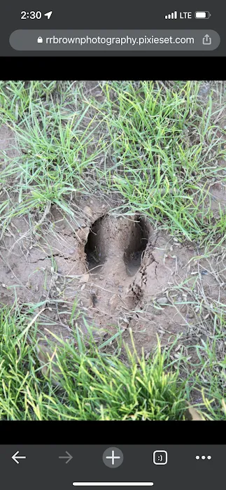 Nature's Design RV Park 7