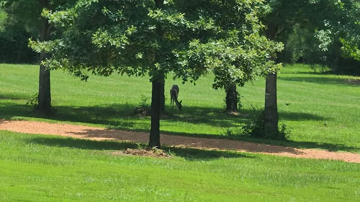 Timberline RV Park 5