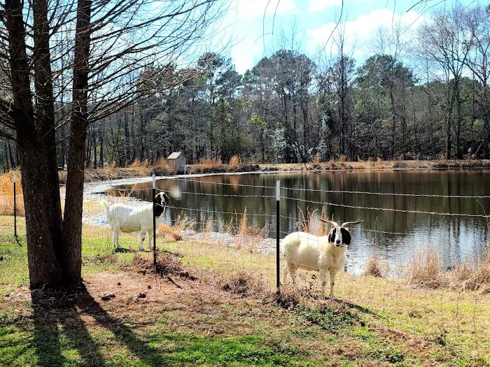 Marshall RV Park 9