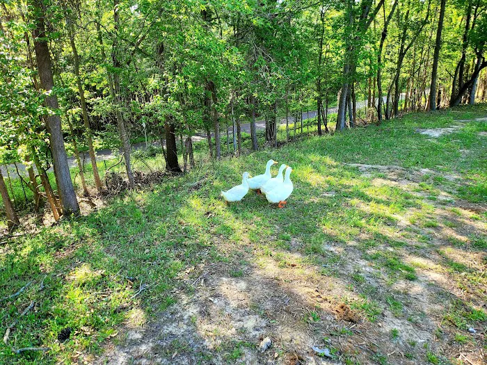 Marshall RV Park 8