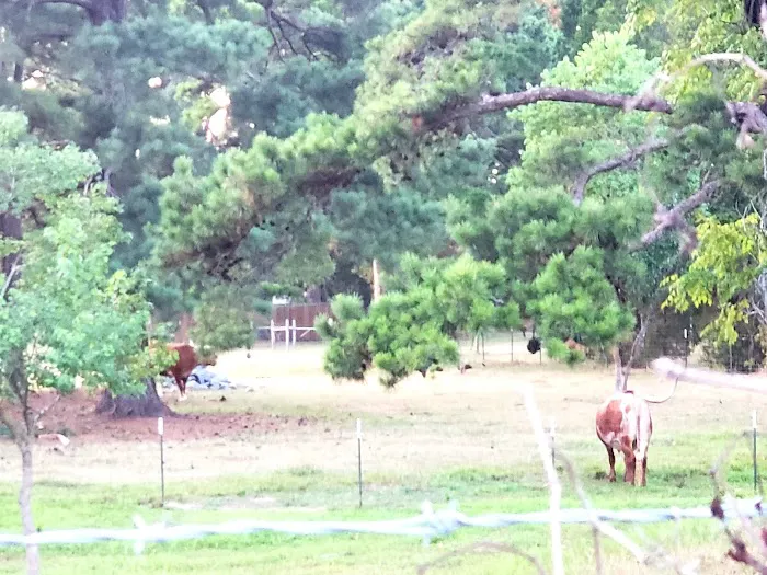 Marshall RV Park 10