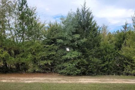 Pine Grove Park