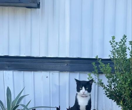 Longview. Mobile Home Park.