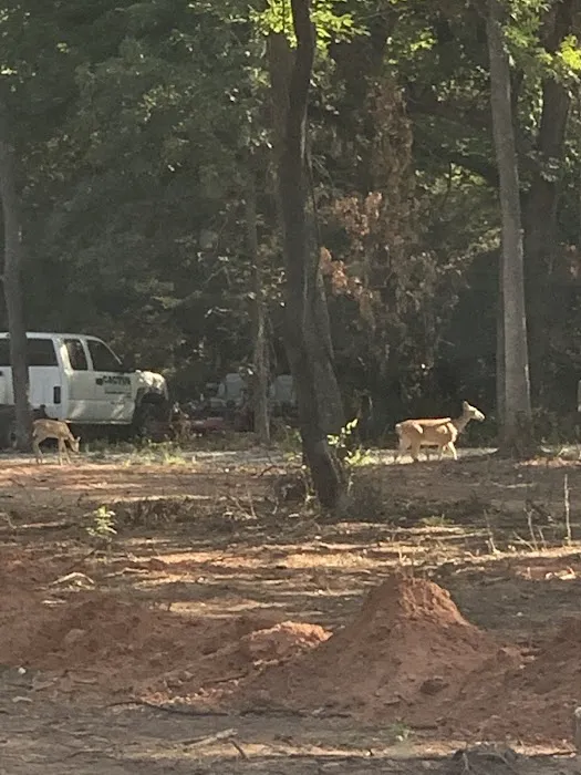 Redtail Campground 7