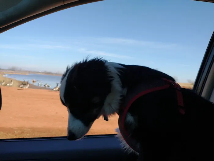 Purcell Lake RV Park 2