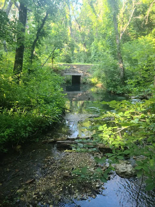 Cold Springs Campground 5