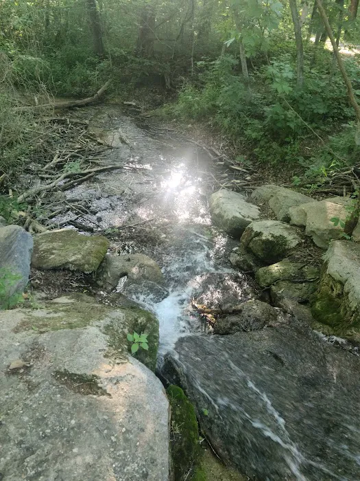 Cold Springs Campground 10