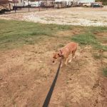 Lazy L RV Park