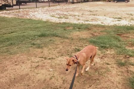 Lazy L RV Park