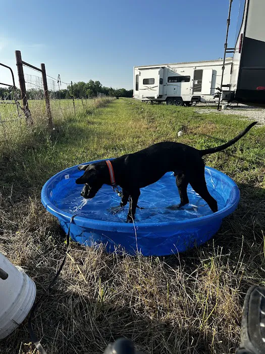 Rv Park - Wilson Way Refuge Ranch 9