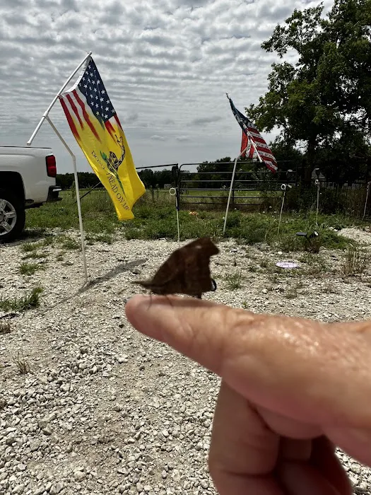 Rv Park - Wilson Way Refuge Ranch 8