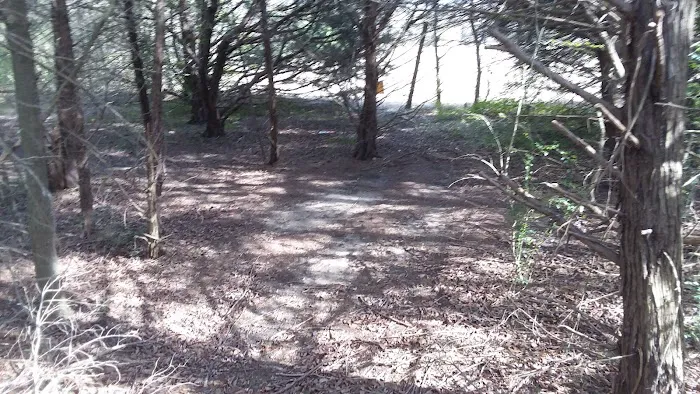 Tom Ellis White Campground 2