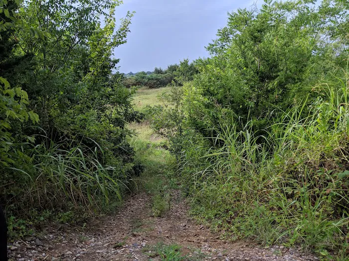 Tom Ellis White Campground 6