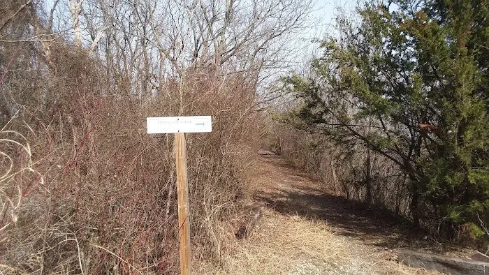 Tom Ellis White Campground 4