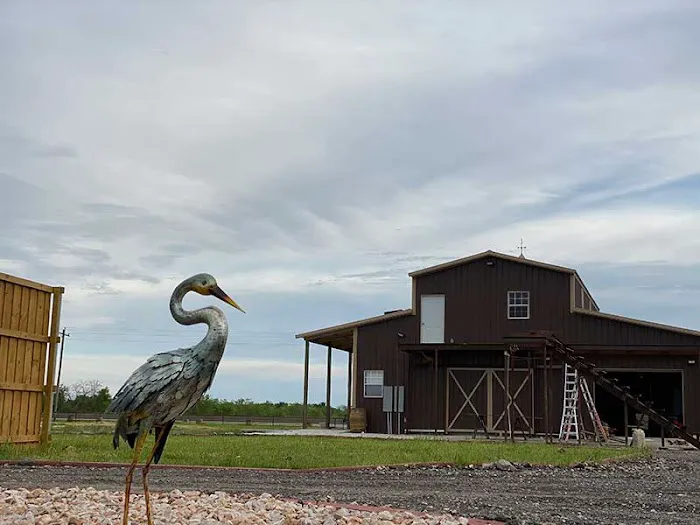 Freedom Birds RV Park 1